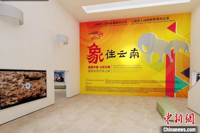 圖為“象”往云南——美麗中國 七彩云南視頻及圖片線上展截圖?！『h航 攝