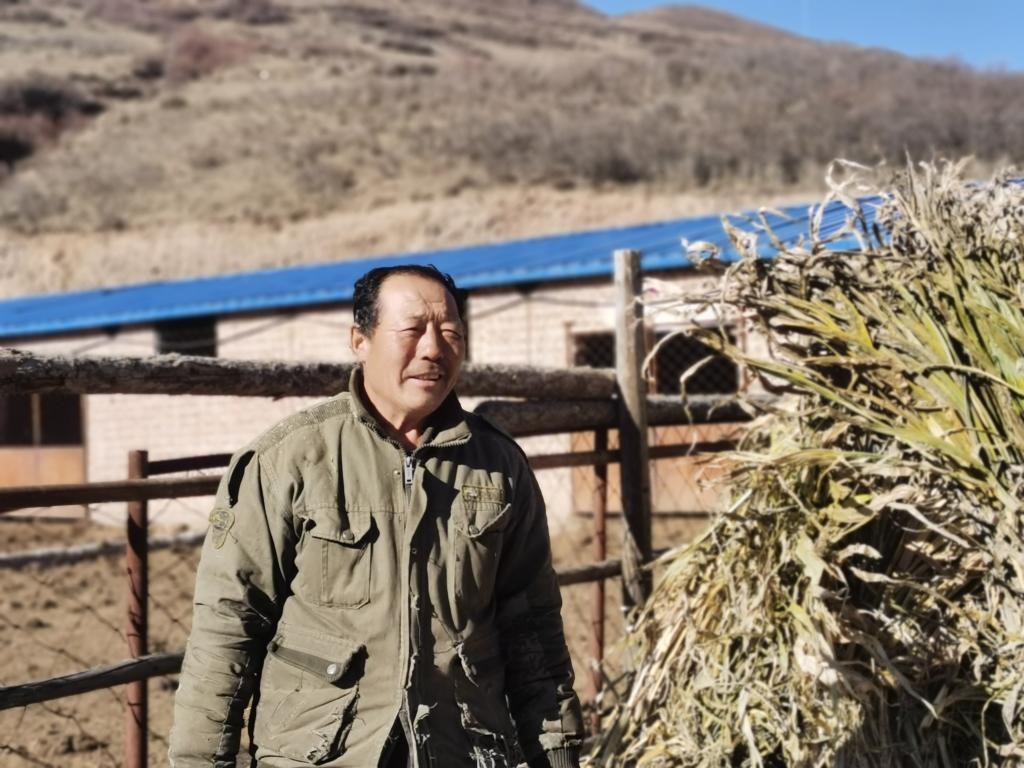 1月19日，山西省岢嵐縣脫貧戶呂如堂在牛圈前準備草料。新華社記者 梁曉飛 攝