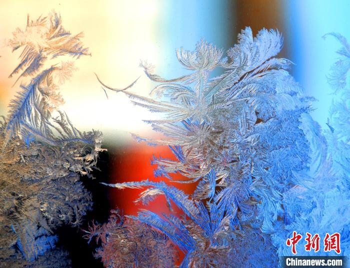 冰窗花千姿百態(tài)?！O書程 攝