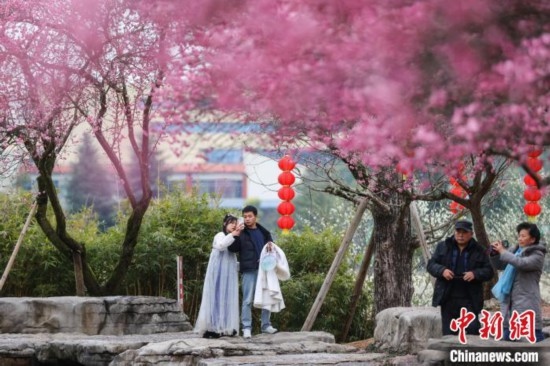 2月23日，市民在乾藝梅園景區(qū)觀賞綻放的梅花。瞿宏倫 攝