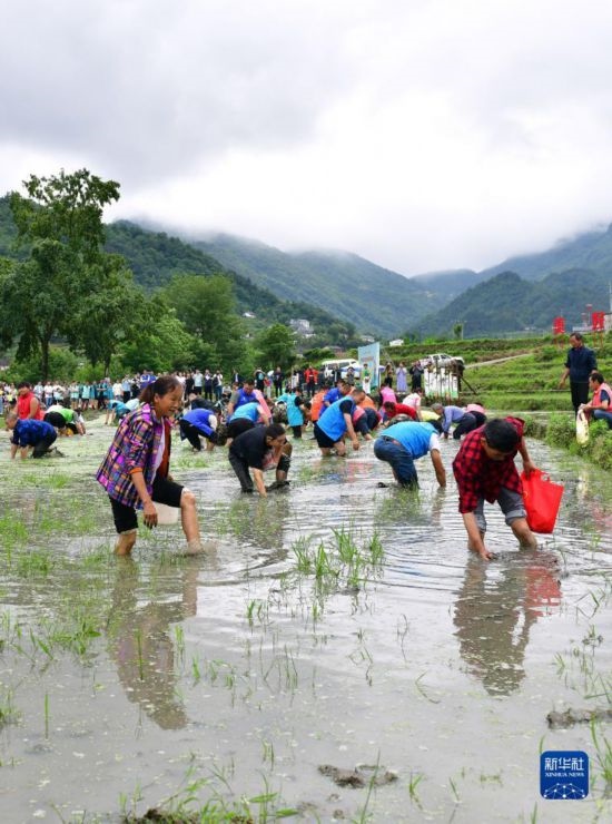5月27日，秭歸縣九畹溪鎮(zhèn)農(nóng)民參加摸魚比賽。