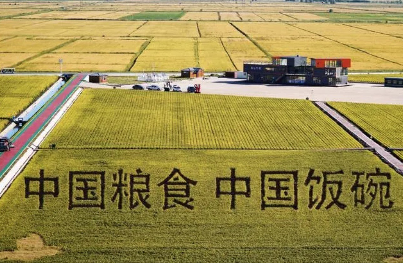 2022年9月2日，黑龍江省富錦市萬畝水稻科技示范園內(nèi)的稻田畫。