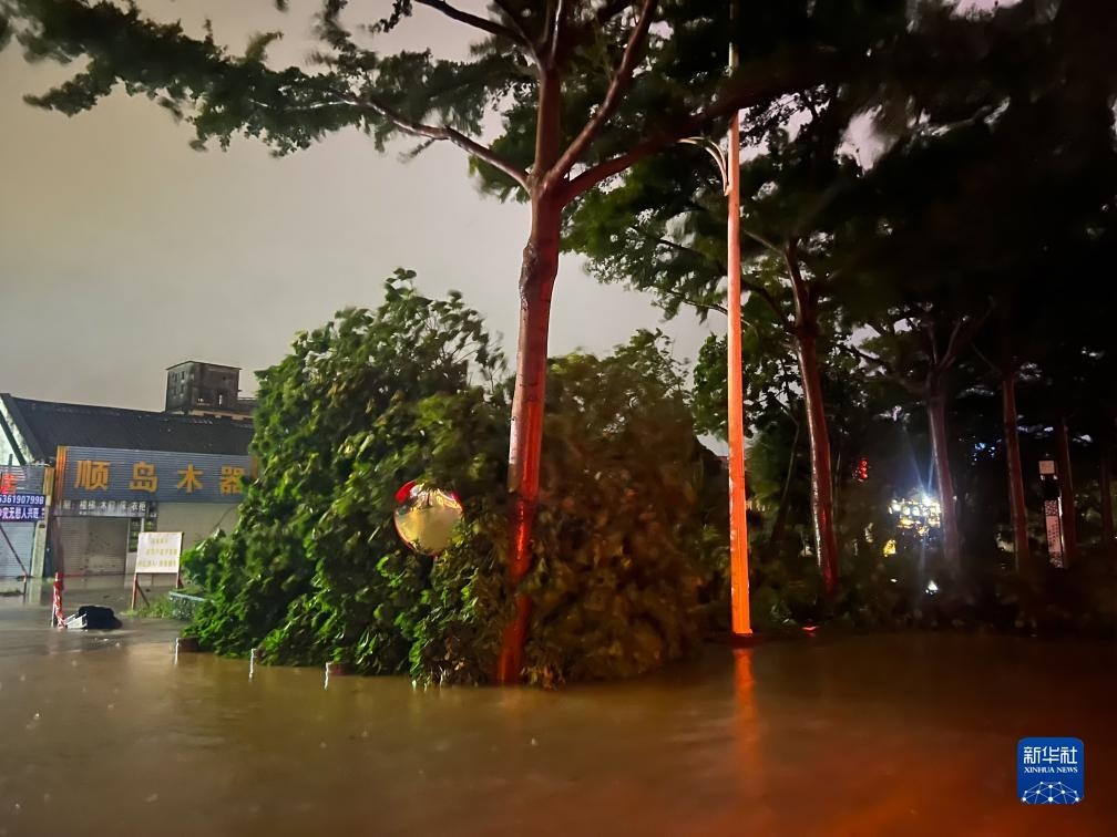 7月17日晚，在廣東湛江海濱大道北，路邊的樹(shù)木被風(fēng)刮倒（手機(jī)照片）。新華社記者 鄧華 攝