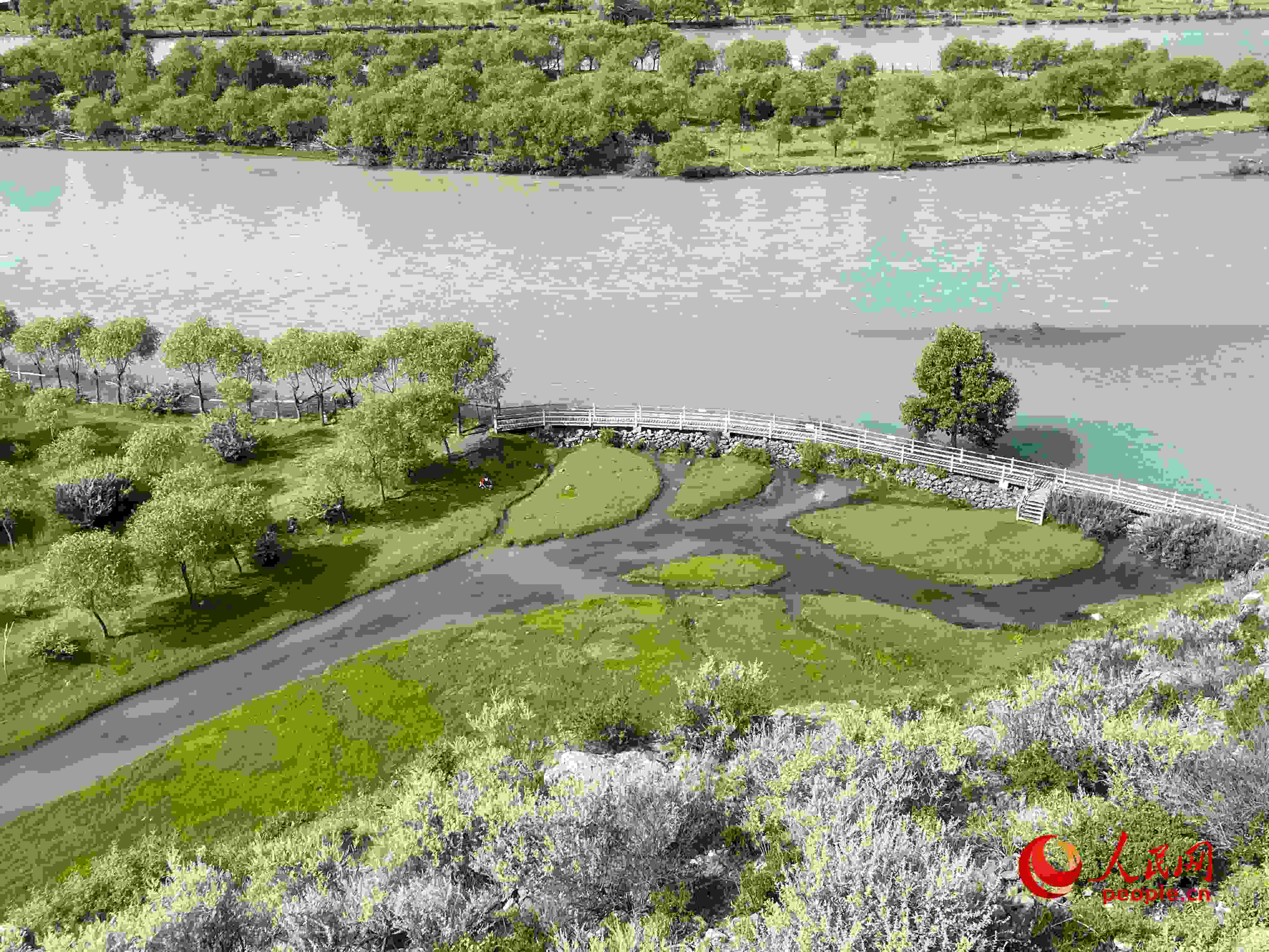 夏日的雅尼國家濕地公園生機(jī)盎然，如詩如畫。人民網(wǎng) 周靜圓攝