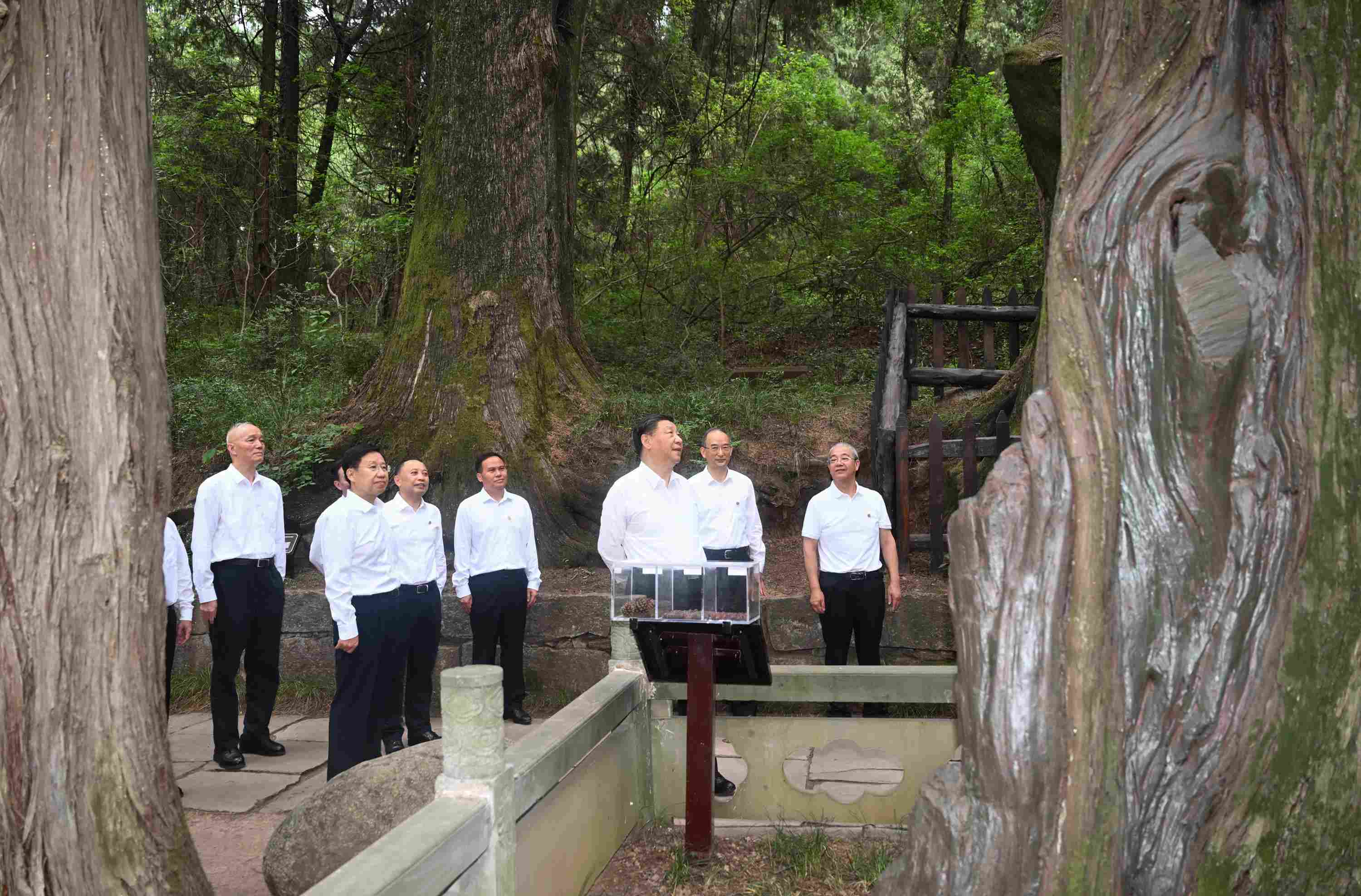 △2023年7月25日，習(xí)近平總書(shū)記在四川省廣元市考察了翠云廊古蜀道，了解當(dāng)?shù)赝七M(jìn)歷史文化傳承、加強(qiáng)生態(tài)文明建設(shè)等情況。