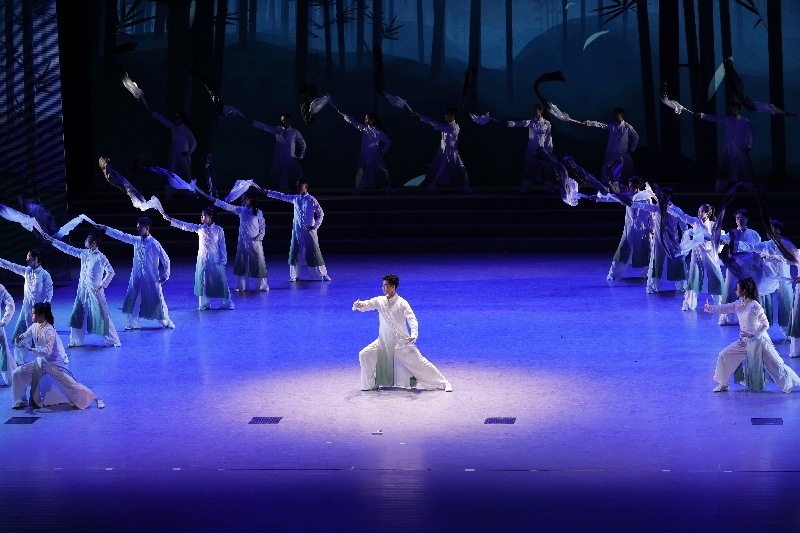 青春主場 丨 中華武術(shù)，傳遞文化精髓感受體育精神
