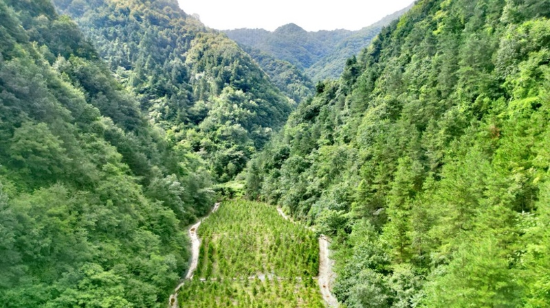 建設(shè)中的西氣東輸三線中段。受訪者供圖
