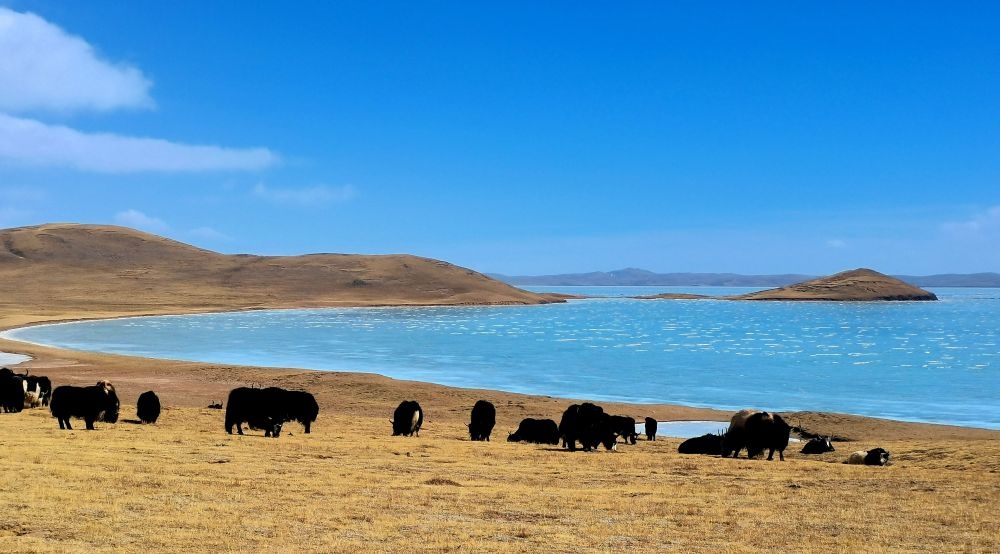 在三江源國(guó)家公園黃河源園區(qū)拍攝的扎陵湖風(fēng)光（2022年3月12日攝）。新華社記者 呂雪莉 攝
