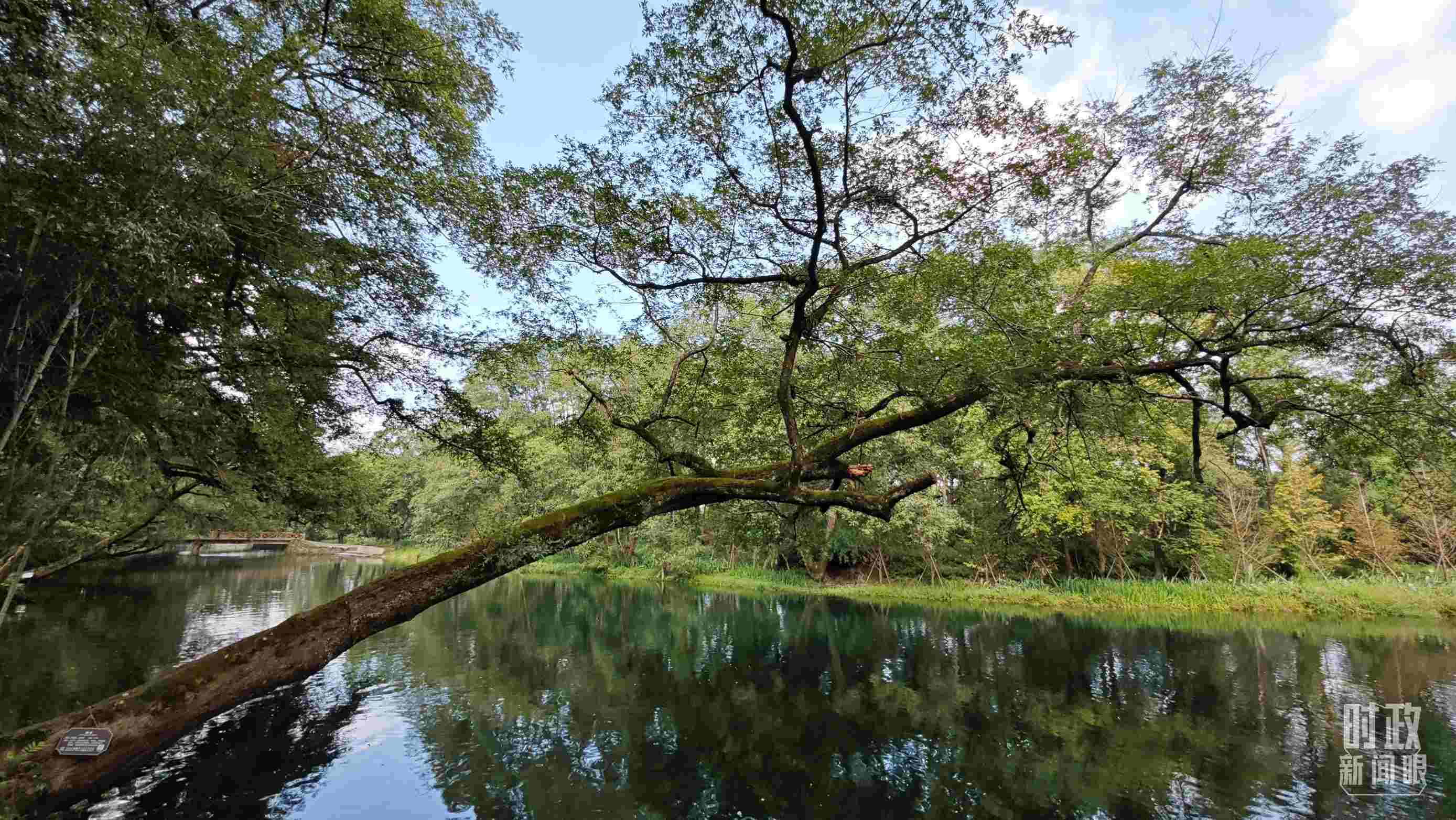 △饒河源國家濕地公園。（總臺央視記者郁振一拍攝）