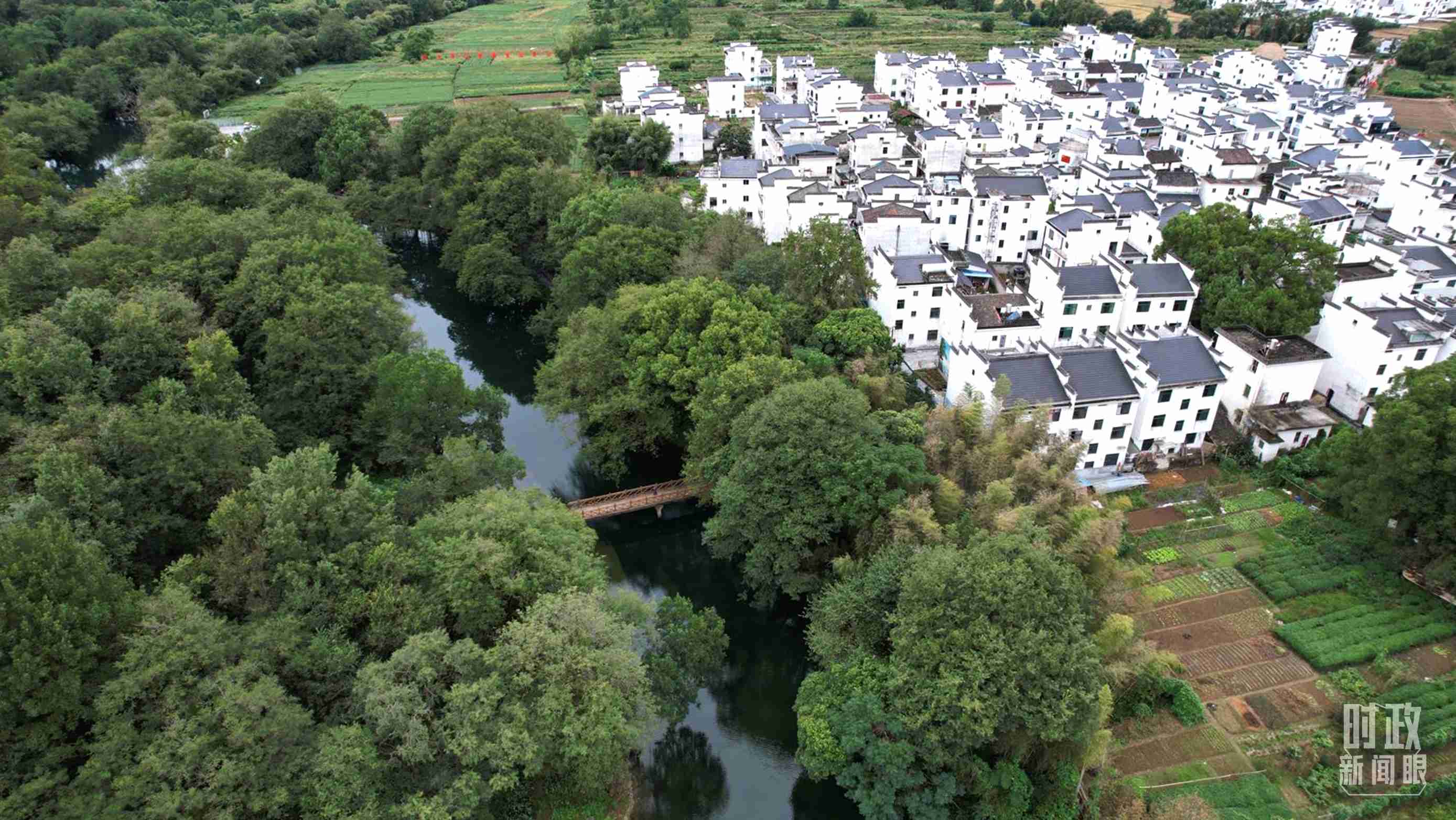 △位于饒河源國家濕地公園中心地帶的石門村。（總臺央視記者范凱拍攝）