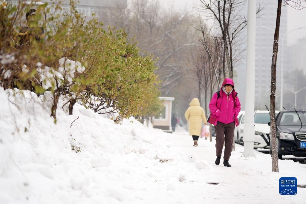 11月16日，市民在雪中前行。當(dāng)日，黑龍江哈爾濱市迎來雨雪天氣。新華社記者 王建威 攝
