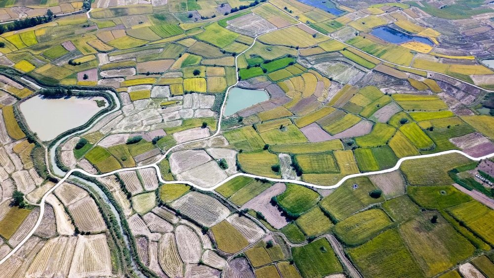 安徽省鳳陽縣小崗村的田野景象（2018年9月27日攝，無人機(jī)照片）。新華社記者 張端 攝