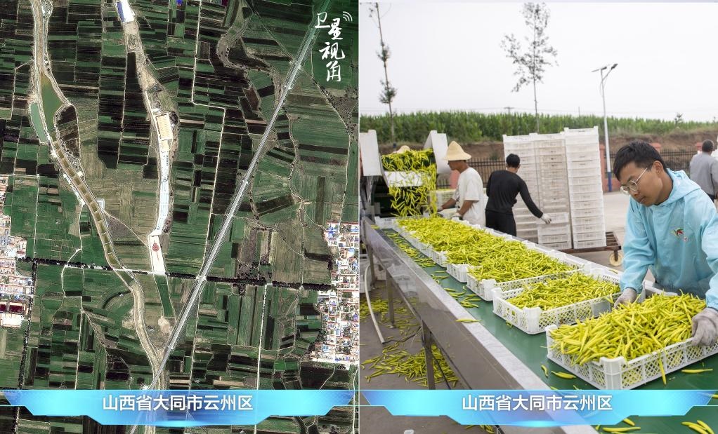 當(dāng)前，大同市開發(fā)黃花菜品、食品、飲品、功能食品、化妝品、文創(chuàng)產(chǎn)品六大系列130余種，全產(chǎn)業(yè)鏈產(chǎn)值超40億元。