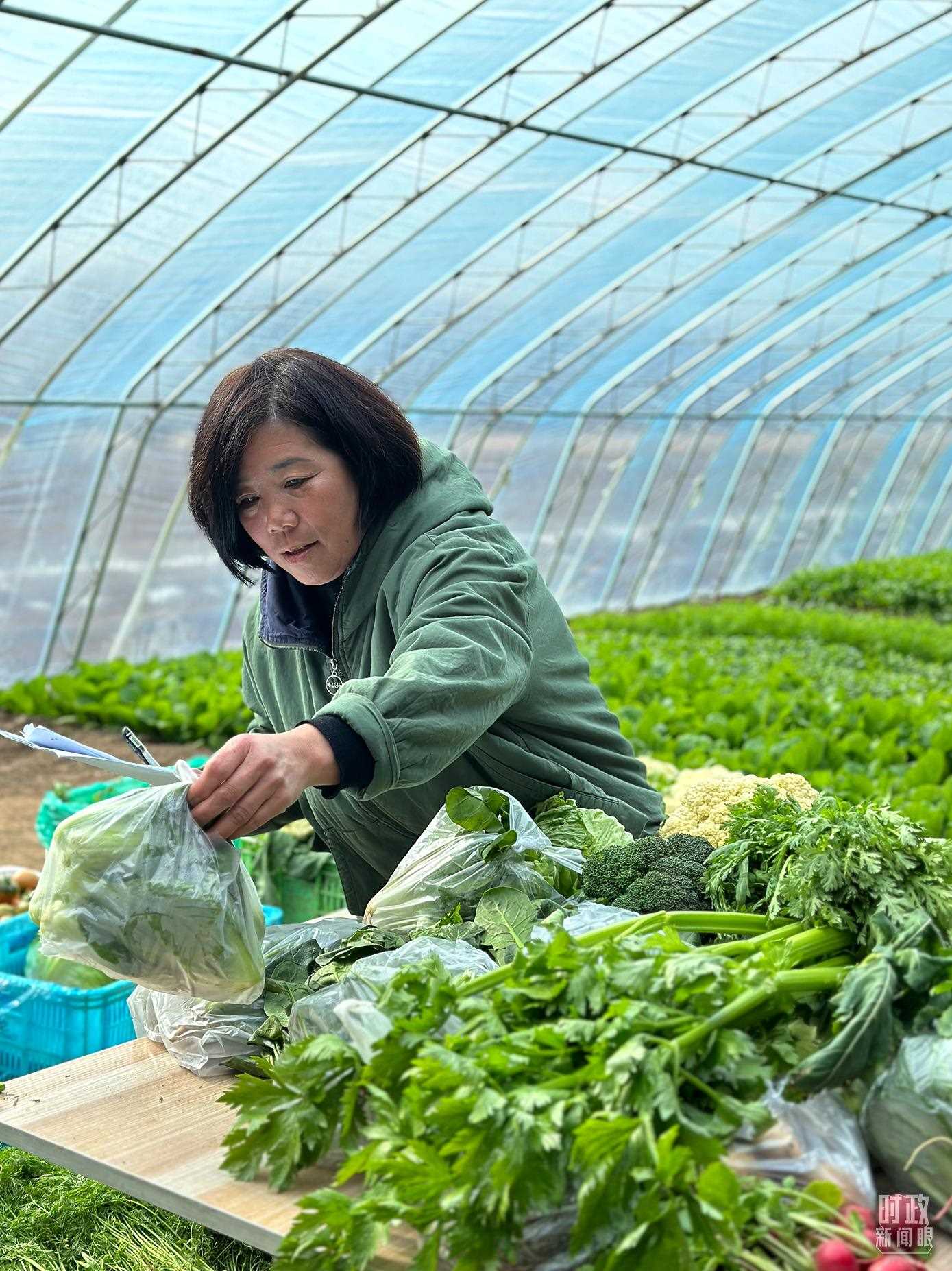△第六埠村村民正在打包分裝蔬菜。（總臺(tái)央視記者盧心雨拍攝）