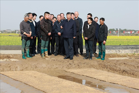 △ 2024年3月19日，習(xí)近平總書記來到湖南省常德市鼎城區(qū)謝家鋪鎮(zhèn)糧食生產(chǎn)萬畝綜合示范片區(qū)考察。