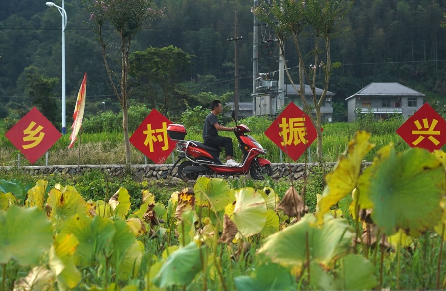 2023年8月24日拍攝的江西省靖安縣璪都鎮(zhèn)港背村一景。該村在當?shù)卣С窒?，修古建，建民宿，搞開發(fā)，引進竹筏漂流、觀光采摘、農(nóng)耕體驗、森林研學等多種旅游業(yè)態(tài)，建成新田園生態(tài)度假小鎮(zhèn)，發(fā)展鄉(xiāng)村旅游，走上致富路。