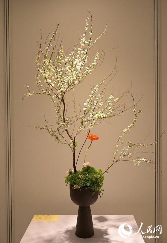 插花作品。人民網(wǎng) 玄番登史江攝