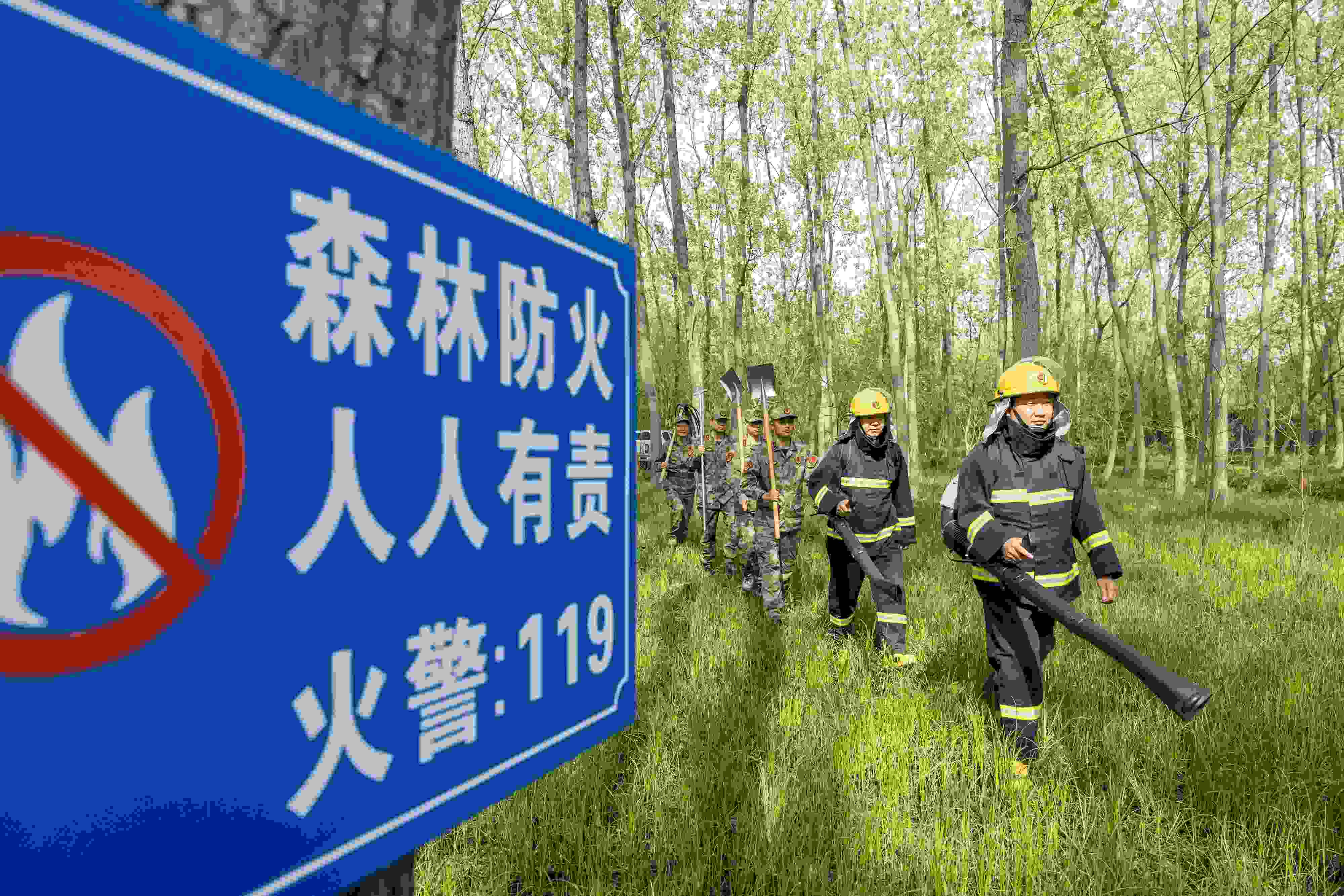 2024年4月9日，合肥市大房郢水庫(kù)水源保護(hù)地廬陽(yáng)經(jīng)濟(jì)開(kāi)發(fā)區(qū)段，基干民兵正在林間巡查火災(zāi)隱患。