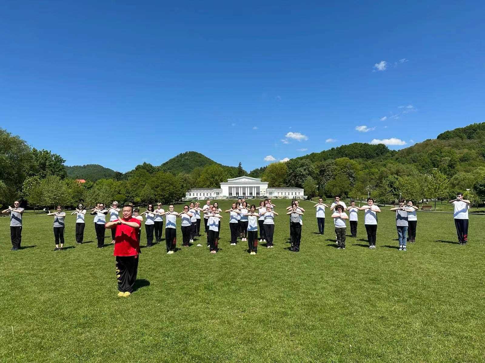 北京體育大學(xué)教授武冬帶領(lǐng)學(xué)員進(jìn)行太極拳演練。布加勒斯特中國文化中心供圖