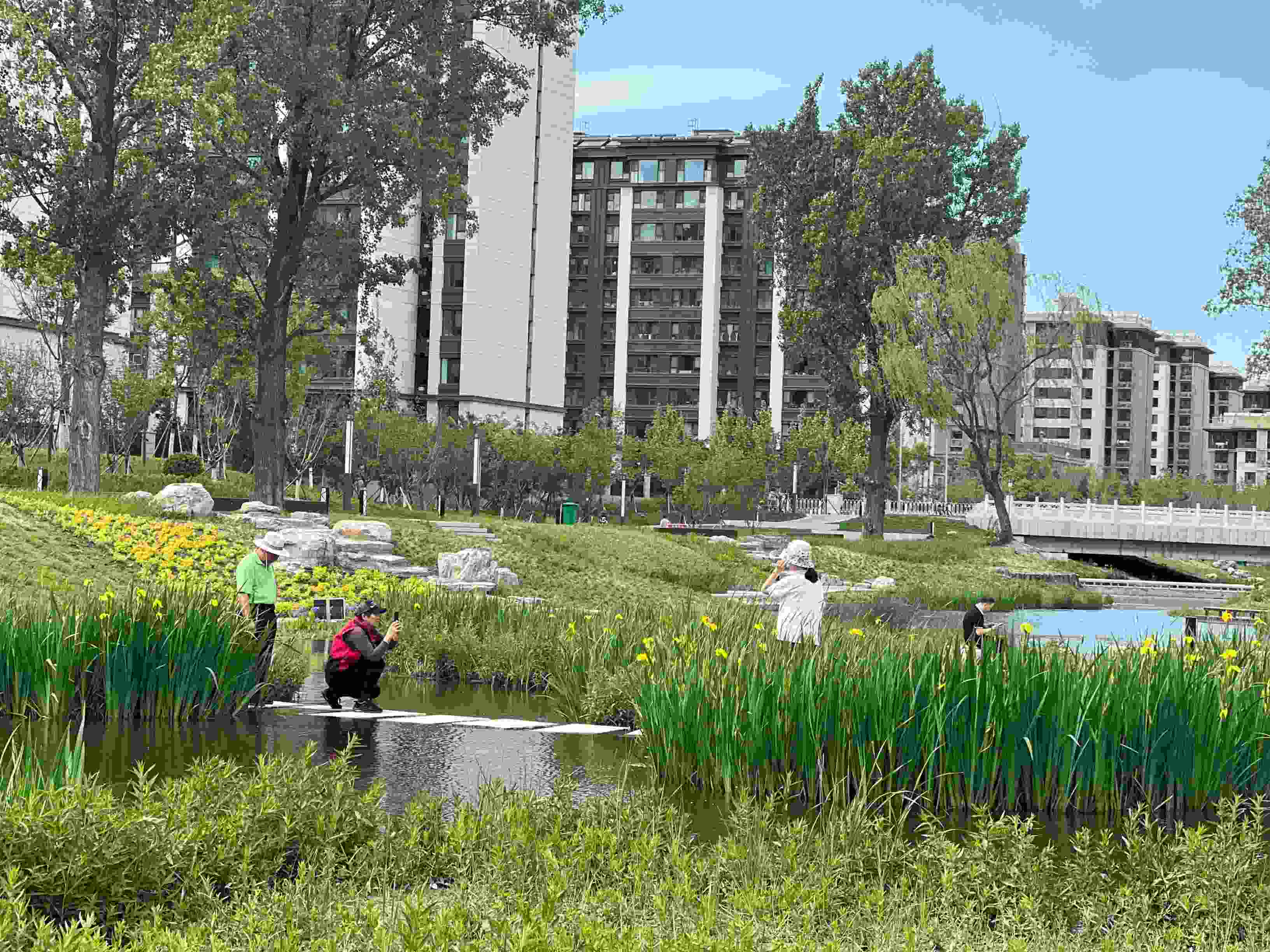五一渠生態(tài)濱河公園內(nèi)，市民正在拍照留念。人民網(wǎng) 歐陽易佳攝