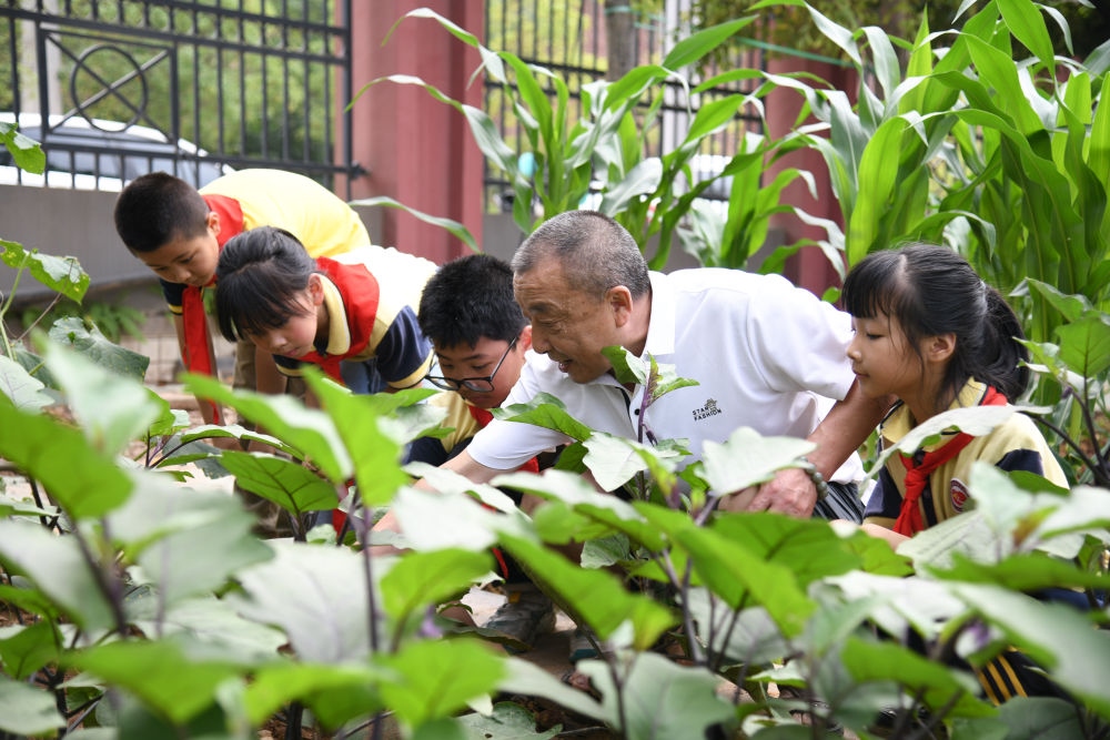 5月31日，老師帶領(lǐng)學(xué)生在之江小學(xué)勞動實踐基地學(xué)習(xí)蔬菜知識。新華社記者 胥冰潔 攝