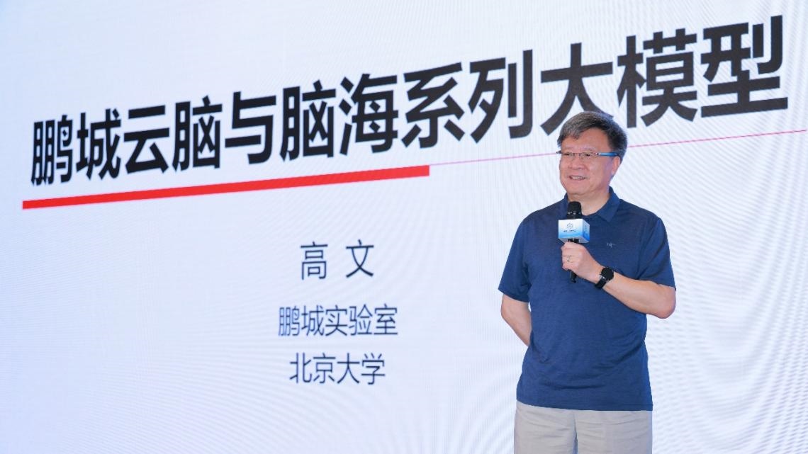 高文院士做大會特邀報告。主辦方供圖
