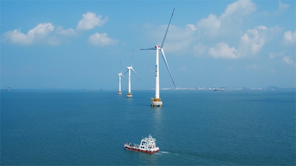 福建興化灣海上風(fēng)電場。受訪者供圖