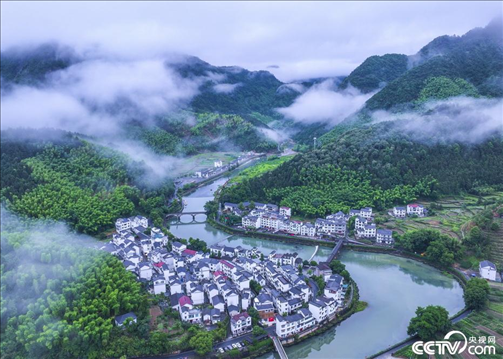 2024年6月19日，浙江省杭州市淳安縣楓樹(shù)嶺鎮(zhèn)下姜村，雨后云霧繚繞。
