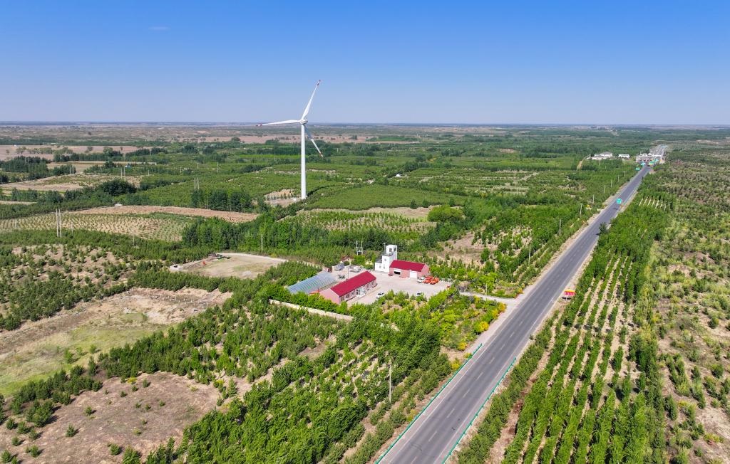 在內(nèi)蒙古通遼市，科爾沁沙地正漸漸披上綠裝。新華社記者連振 攝
