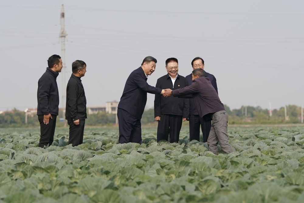 2024年11月5日，習近平在咸寧市嘉魚縣潘家灣鎮(zhèn)十里蔬菜長廊考察時，同菜農親切交流。