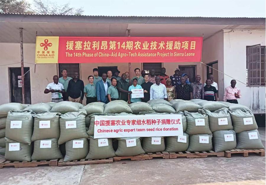 中國援塞拉利昂農業(yè)專家組在塞南方省博城舉辦水稻種子捐贈儀式。中國援塞農業(yè)專家組供圖