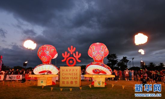 圖為游客在2025年奧克蘭元宵燈節(jié)游覽。（圖片由奧克蘭中國文化中心提供）
