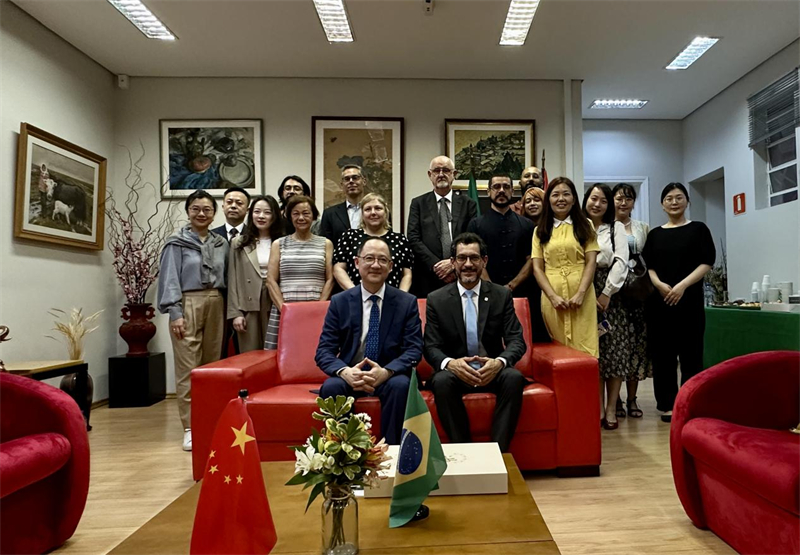 圖為參加座談會的來賓合影留念。 圣保羅州立大學(xué)孔子學(xué)院供圖