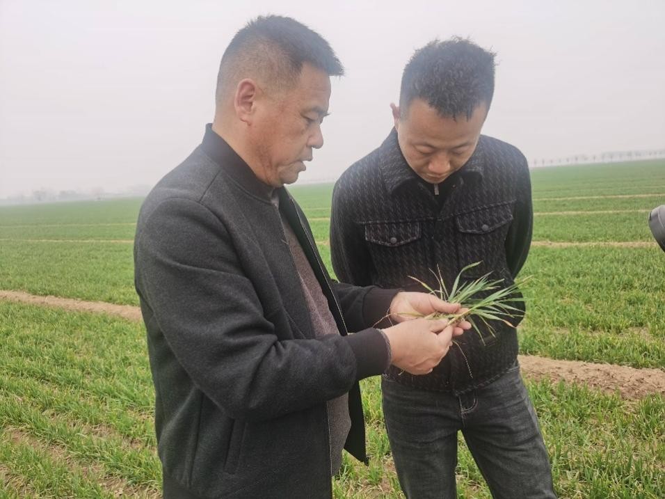 在山東濟寧汶上縣苑莊鎮(zhèn)，農(nóng)技員黃海龍對種糧大戶王振現(xiàn)場進行春耕指導。人民網(wǎng)記者 車柯蒙攝