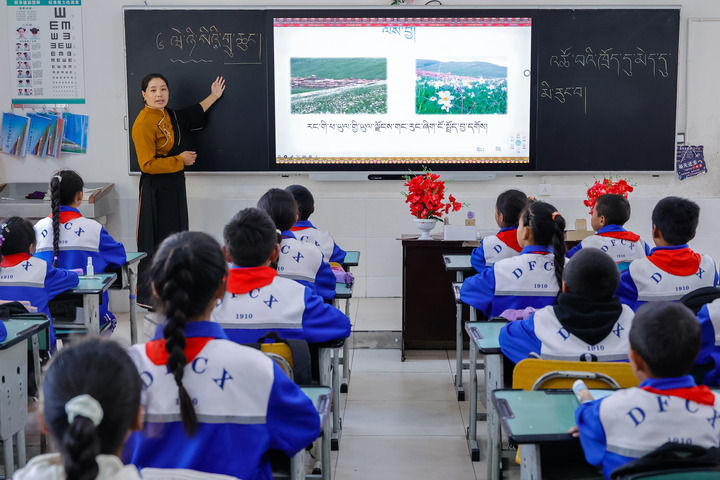 2024年9月27日，在四川省甘孜藏族自治州道孚縣城關(guān)第一完全小學(xué)，采取“藏加模式”教學(xué)的五年級一班的藏語文課上，準(zhǔn)木周老師指導(dǎo)藏族學(xué)生以家鄉(xiāng)草原風(fēng)物為主題寫作藏語文作文。新華社記者 沈伯韓 攝